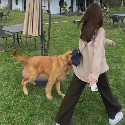 靓妹正传